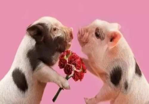 離婚后房產(chǎn)還貸增值部分怎么樣算